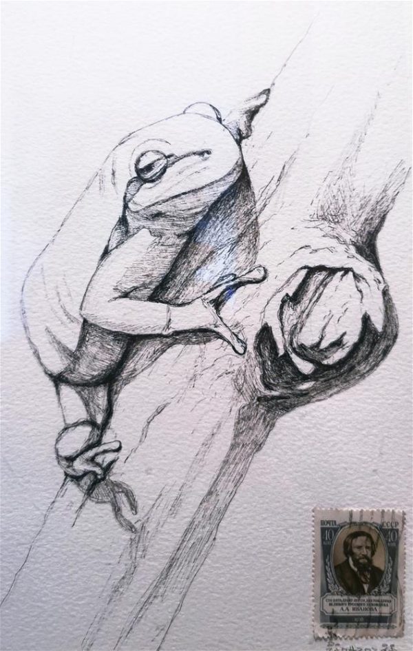 33.1. By Frog - original framed art