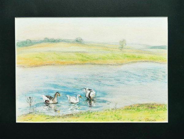 72. Geese by Protva River, Russia - one of the kind art by Linandara
