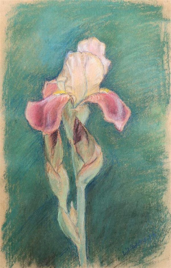 58. Iris Flower - one of the kind art by Linandara